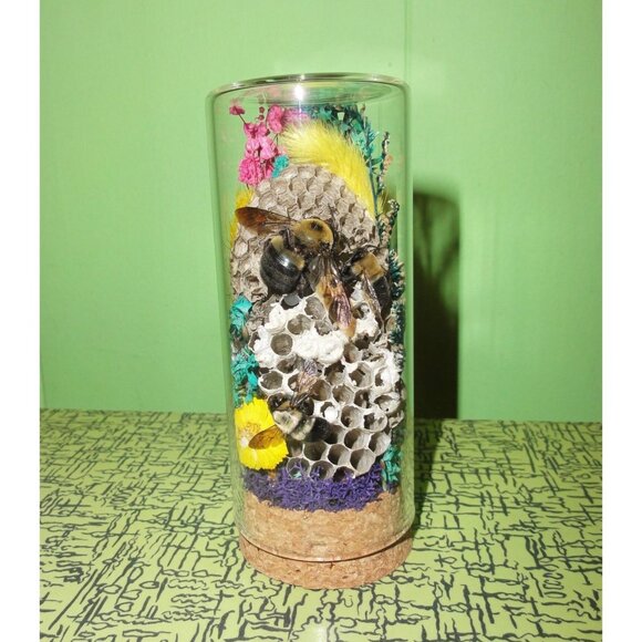 Wasp Nest & Carpenter Bee Oddity Jar curiosity dome hive insect taxidermy goth - Picture 6 of 16